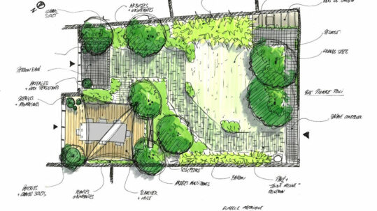plan de terrasse par Les Jardins d'Alexandre illustrant l'article de Fifty Bees